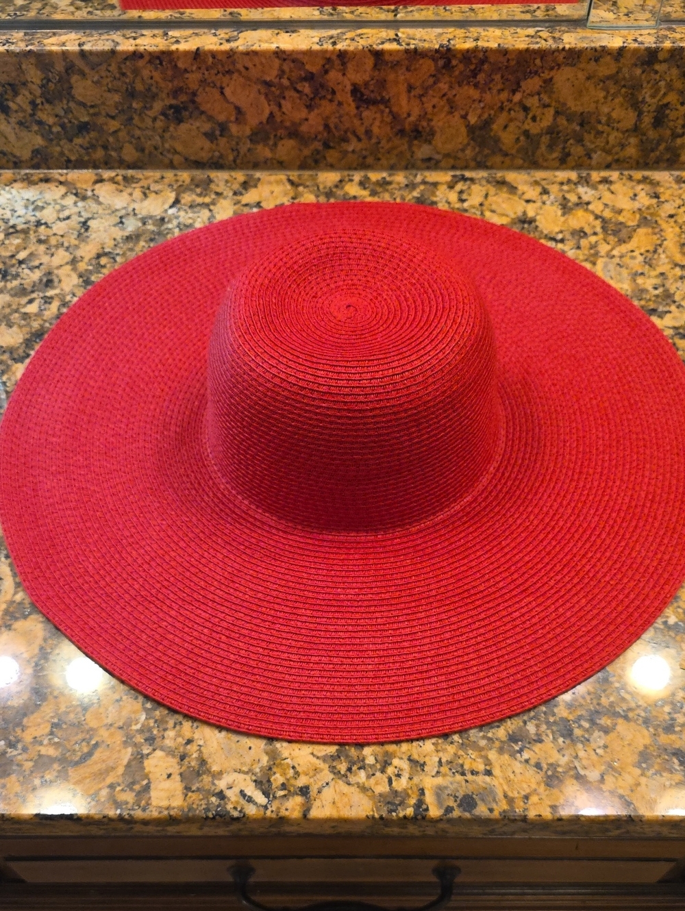 Zara Crimson Wide-Brim Straw Sun Hat